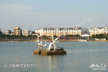 貴港東湖公園-天鵝雕塑照片