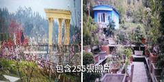 重慶萬州奇芳花谷驢友相冊
