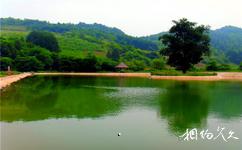 吉林長白山迷宮旅遊攻略之洞外風景