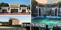 中山紫马岭公园驴友相册
