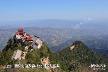 宜川蟒頭山國家森林公園照片