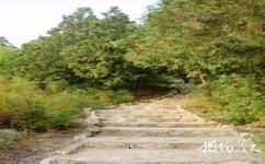北京莽山森林公園旅遊攻略之石階