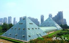 天津塘沽泰豐公園旅遊攻略之植物園