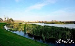 成都锦城湖湿地公园旅游攻略之3、4号湖区