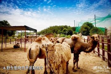 大悟湖北十八潭生態旅遊區-野生動物世界照片