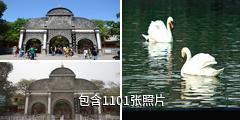 北京动物园驴友相册