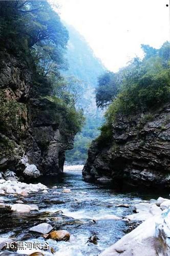陕西黑河国家森林公园-黑河峡谷照片