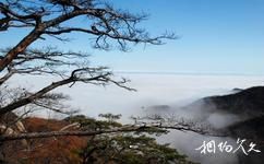 丹東鳳凰山旅遊攻略之山雲鋪海
