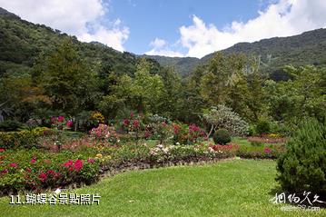 陝西延安黃陵國家森林公園-蝴蝶谷照片