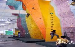 上海八萬人體育場旅遊攻略之上海體育場攀岩運動中心
