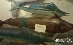 上海科技館旅遊攻略之魚類庫房