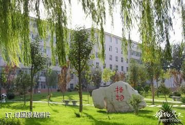 華北電力大學-綠園照片
