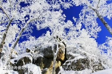 哈尔滨亚布力虎峰岭风景区-虎峰岭雾凇照片