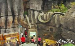 上海科技館旅遊攻略之兩棲爬行類庫房