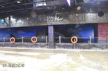 杭州烂苹果乐园-海底2亿年照片