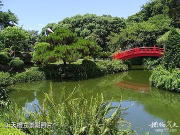 日本桂離宮-天橋立照片