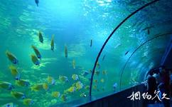 博鳌海洋馆旅游攻略之海底大观园