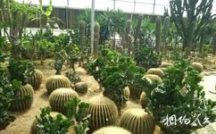 天津君利温泉旅游攻略之名贵植物温室