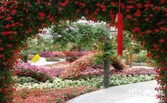 北京世界花卉大观园旅游攻略之茗赏百花厅