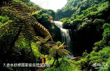 赤水风景区-赤水桫椤国家级自然保护区照片