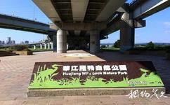 台北华江雁鸭自然公园旅游攻略之华江雁鸭自然公园