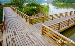 常州青枫公园旅游攻略之长木桥
