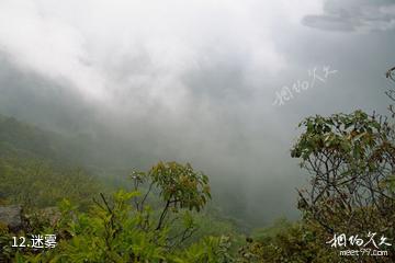云南哀牢山国家级自然保护区-迷雾照片