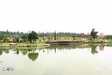 宣城官塘湖景区-乌木照片