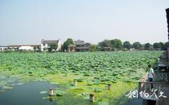 上海金龟岛渔村旅游攻略