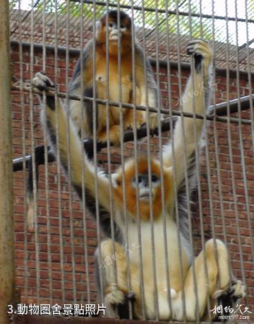 神州荒漠野生動物園-動物圏舍照片