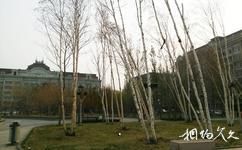 哈尔滨友谊公园旅游攻略之森林体验区