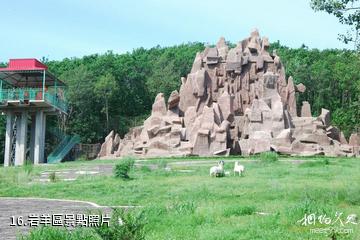 北方森林動物園-岩羊區照片