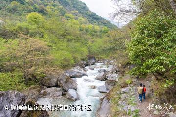 宝兴蜂桶寨邓池沟景区-蜂桶寨国家级大熊猫自然保护区照片