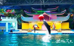 大理海洋世界旅遊攻略之海豚表演館