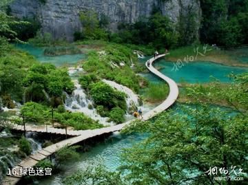 珠江源风景区-绿色迷宫照片