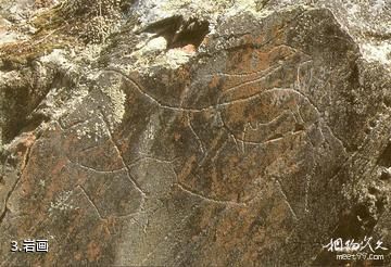 葡萄牙科阿山谷史前岩画遗址-岩画照片