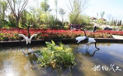 锦州世界园林博览会旅游攻略之鹤舞赤洲