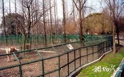 上海动物园旅游攻略之食草动物区