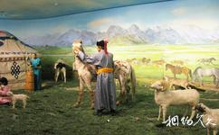 包头敕勒川文化旅游攻略之敕勒川博物馆