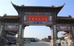 第八届中国花博会[常州]旅游攻略之夏溪花木市场