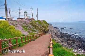 济州岛偶来小路照片