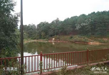西昌茅坡樱红景区-雨满池照片