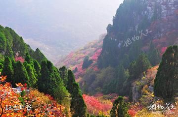 临朐石门坊风景名胜区-红叶谷照片