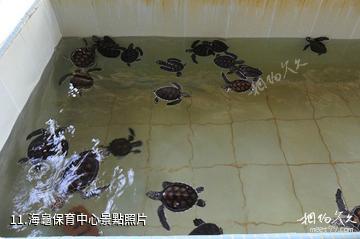 馬來西亞怡保市-海龜保育中心照片