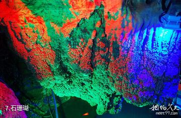 通化云霞洞-石珊瑚照片