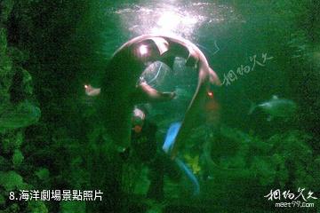杭州海底世界-海洋劇場照片