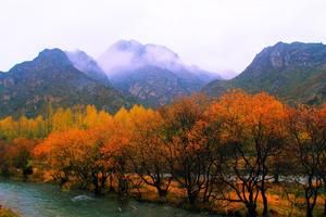 甘肃武威天祝旅游攻略-天祝煤电公司景点排行榜