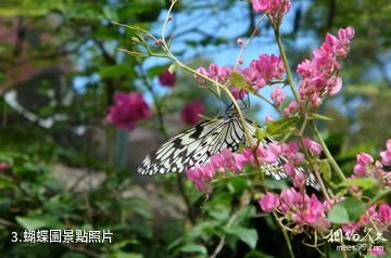 溫州綠色樂園-蝴蝶園照片