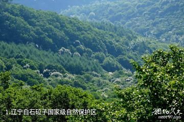 辽宁白石砬子国家级自然保护区照片