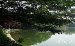 天津綠道公園旅遊攻略之復興河